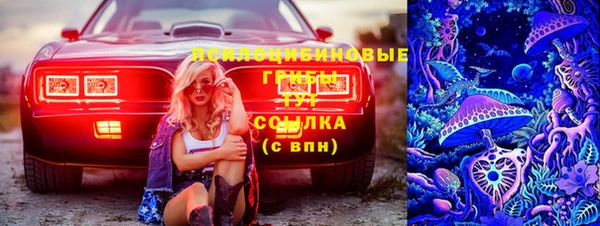 таблы Алзамай