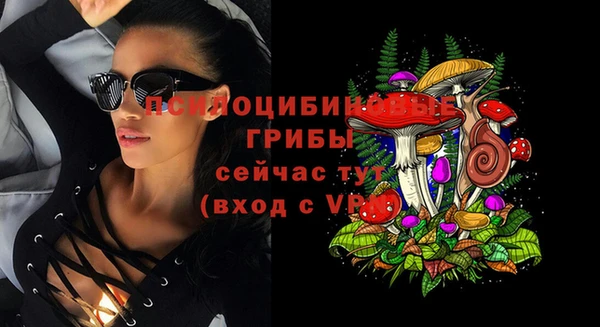 не бодяженный Алексин