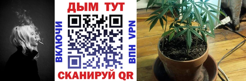 купить наркотики цена  Суджа  Бошки марихуана LSD WEED 